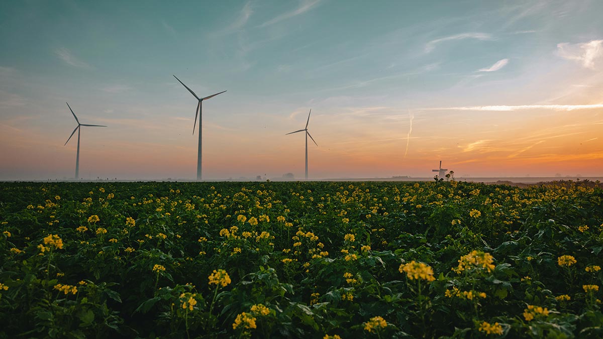 Overstappen op groene stroom: waar moet je op letten?